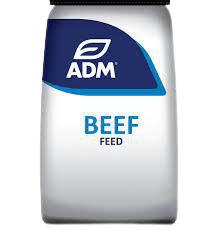 ADM__1_-removebg-preview