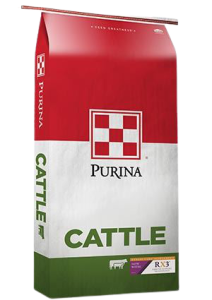 stress_care__1_-removebg-preview